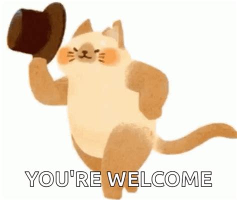 youre welcome gifs|you're welcome images gif.